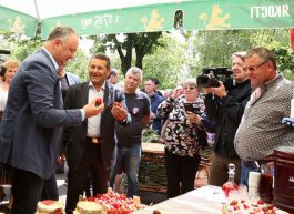 Игорь Додон принял участие в Фестивале клубники и меда в Садова  