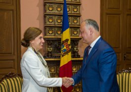 Президент Республики Молдова провел встречу с Чрезвычайным и Полномочным Послом Королевства Швеция в нашей стране