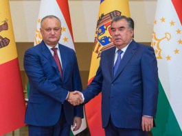 Președintele Moldovei a avut o întrevedere de lucru cu Preşedintele Tadjikistanului