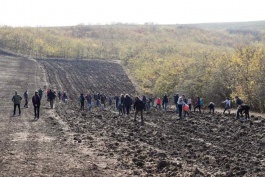 Șeful statului împreună cu familia şi aparatul președintelui au participat la acțiunea națională: ,,Un arbore pentru dăinuirea noastră"