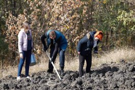 Глава государства вместе с семьей и аппаратом президента приняли участие в общенациональной акции «Древо нашего долголетия»