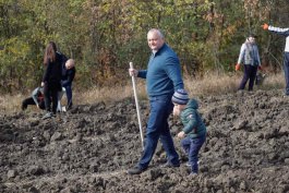 Глава государства вместе с семьей и аппаратом президента приняли участие в общенациональной акции «Древо нашего долголетия»