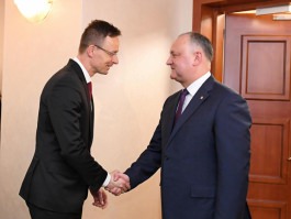 Președintele Moldovei a avut o întrevedere cu Ministrul de Externe al Ungariei