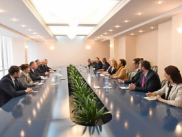Președintele Republicii Moldova a avut o întrevedere cu o delegație a congresmenilor americani