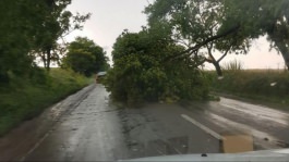 Igor Dodon proposes to the Government the creation of the commission for damages caused by bad weather