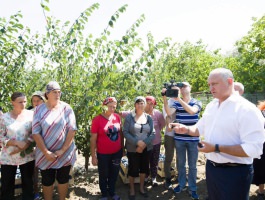 Глава государства посетил аграрное производство в Кагульском районе