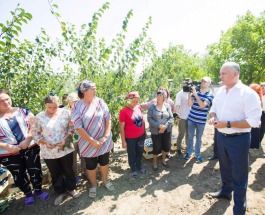Глава государства посетил аграрное производство в Кагульском районе