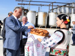 Президент посетил винзавод в селе Валя-Пержей Чимишлийского района