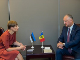Президент Республики Молдова провел встречу с Президентом Эстонской Республики