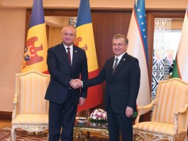 Президент Республики Молдова провел встречу с Президентом Республики Узбекистан