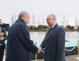Președintele Republicii Moldova a avut o întrevedere cu Președintele Republicii Turcia