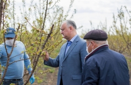 Președintele țării întreprinde o vizită de lucru în raionul Șoldănești