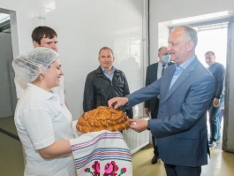 Игорь Додон посетил филиал компании «Brodețchi» в городе Шолданешты
