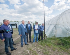 Игорь Додон посетил два сельскохозяйственных предприятия в Резинском районе