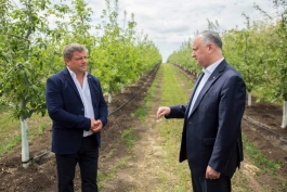 Игорь Додон посетил два аграрных предприятия в Фалештском районе