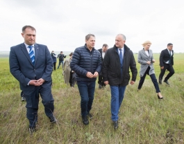 Igor Dodon a efectuat o inspecție a terenurilor agricole din Autonomia Găgăuză