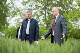 Igor Dodon s-a familiarizat cu activitatea a două întreprinderi agricole din raionul Glodeni