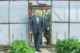 Șeful statului s-a familiarizat cu activitatea a doi agenți economici din raionul Cahul