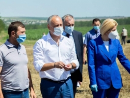 Președintele țării s-a documentat cu activitatea întreprinderii agricole SRL „Nisapeva” din satul Baurci