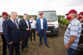 Şeful statului a vizitat podgoriile vinăriei Cricova