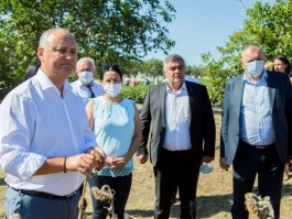 Igor Dodon s-a familiarizat cu activitatea a două gospodării agricole din satul Tîrșiței, raionul Telenești