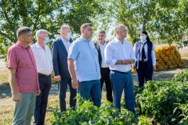 Igor Dodon s-a familiarizat cu activitatea a două gospodării agricole din satul Tîrșiței, raionul Telenești