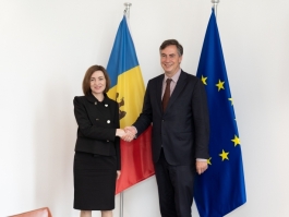 The reform agenda, discussed by President Maia Sandu with David McAllister, Chair of the European Parliament's Foreign Affairs Committee