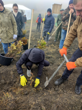 Președinția susține Campania națională de înverzire a plaiului „Plantează-ți viitorul” 