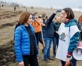 Президент Майя Санду посадила саженцы в Кружешть вместе с командой Корпуса мира в Молдове