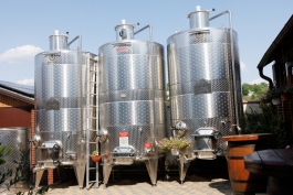 Șefa statului, la o vinărie din Căușeni: „Afacerile mici și mari din sectorul vitivinicol, din diferite regiuni ale țării, dinamizează economia locală” 
