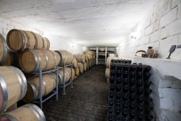 Глава государства на винодельческом предприятии в Кэушень: «Малые и крупные предприятия винодельческого сектора из разных регионов страны способствуют развитию местной экономики»