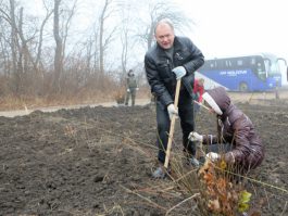 Angajații Administrației prezidențiale au participat la acţiunea „Un arbore pentru dăinuirea noastră” în cadrul Zilei Naţionale de creare a spațiilor verzi