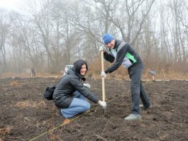 Angajații Administrației prezidențiale au participat la acţiunea „Un arbore pentru dăinuirea noastră” în cadrul Zilei Naţionale de creare a spațiilor verzi