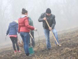 Angajații Administrației prezidențiale au participat la acţiunea „Un arbore pentru dăinuirea noastră” în cadrul Zilei Naţionale de creare a spațiilor verzi