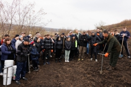 Președinta Maia Sandu a plantat copaci în apropierea comunei Răzeni, Ialoveni