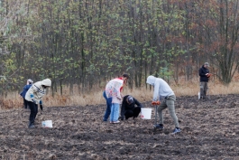 Președinta Maia Sandu a plantat copaci în apropierea comunei Răzeni, Ialoveni