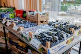 Președinta Maia Sandu s-a adresat mai multor producători și exportatori de fructe să pună umărul la proiectul de aderare europeană a țării