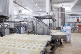 Șefa statului, la întâlnire cu angajații fabricii de brânzeturi din Soroca: „Uniunea Europeană este o piață mare și tot mai deschisă pentru produsele noastre” 