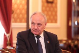 Moldovan president, European official tackle reforms, projects, cooperation